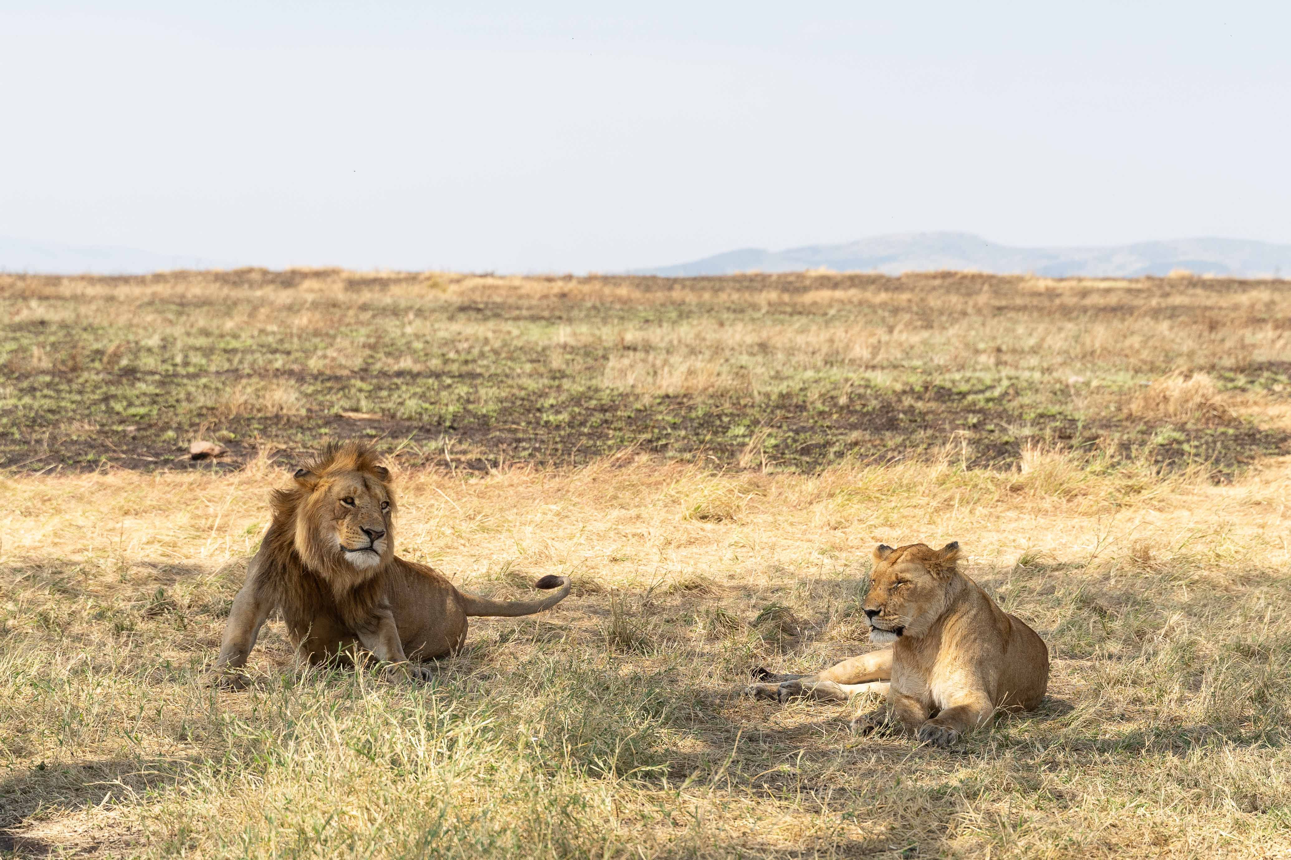 7-day-hero