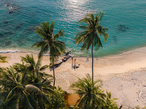 Beach escape