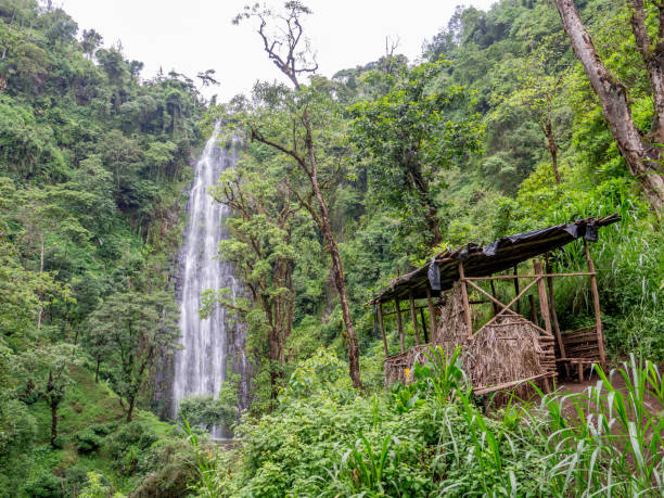 Cultural Day Trips