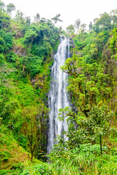 Waterfall tour