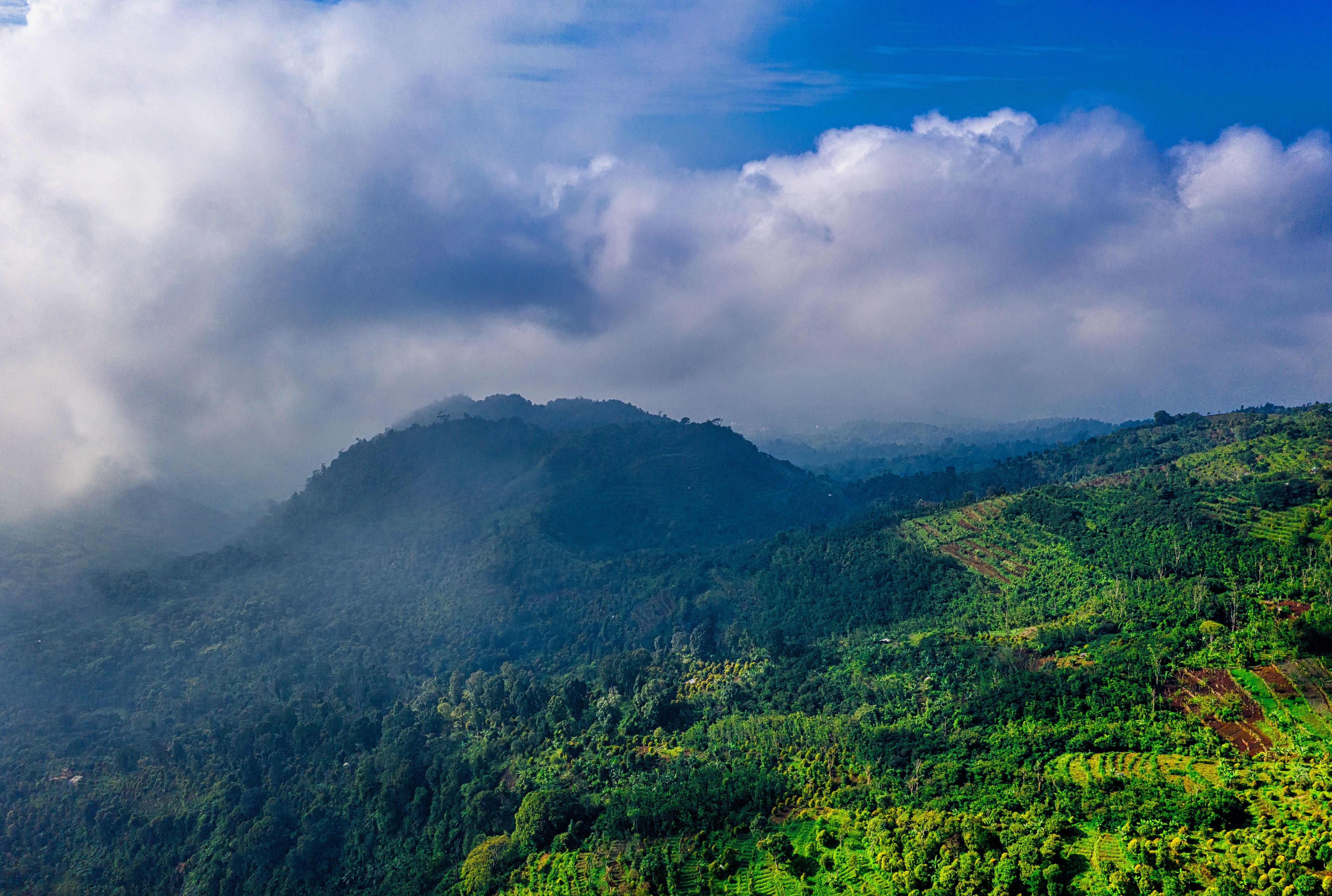 Usambara Mountains